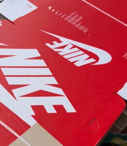 Empty nike shoe - empty, -100